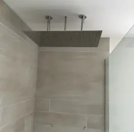 Large shower head: Click Here To View Larger Image